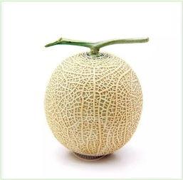 简单吃瓜头像,轻松幽默，一图诠释生活百态