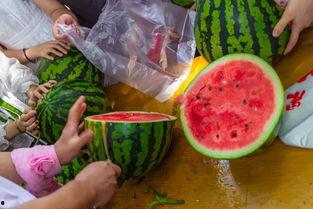 买卖吃瓜视频,揭秘买卖吃瓜视频背后的秘密