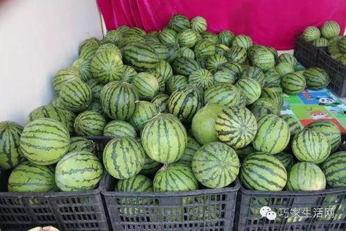 吃瓜洞是什么,网络时代的围观文化现象