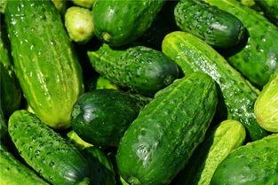 梦到吃长脖子瓜,揭秘长脖子瓜的神秘寓意