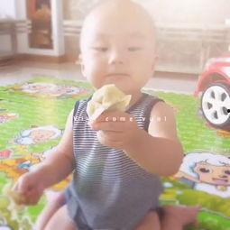 吃瓜刘小胖,揭秘娱乐圈背后的故事