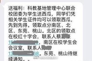 校园表白全校吃瓜,一场别开生面的校园表白盛宴