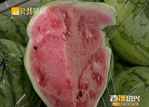 最新绍兴吃瓜事件,揭秘网络谣言背后的真相与反思