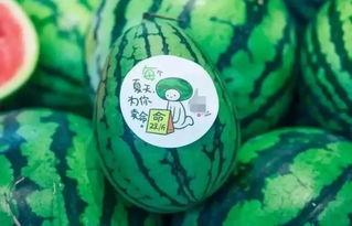 吃货美少瓜,探寻舌尖上的美味天堂