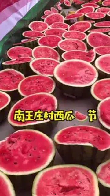 保定幼儿园吃瓜,一场甜蜜的误会引发的温馨故事