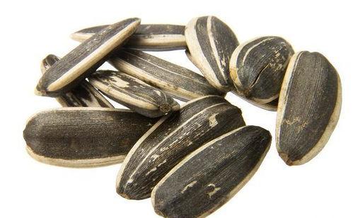 没有吃瓜大便有瓜子