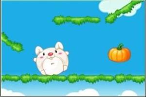 兔子天天吃瓜,趣味日常记录