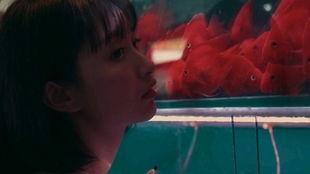 吃瓜少女持续在线观看