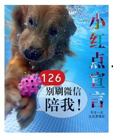 小红吃瓜,揭秘娱乐圈那些不为人知的幕后故事